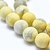 Natural Howlite Bead Strands G-I224-04-8mm-4