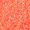 Glass Seed Beads SEED-S042-13A-06-3