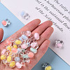 Transparent Acrylic Beads TACR-S152-05A-4