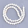 Freshwater Shell Beads Strands SHEL-S276-15B-2