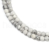 Natural Howlite Beads Strands G-C181-B03-02-4