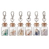 Natural Lapis Lazuli/Amethyst/Carnelian/Citrine/Rose Quartz/Amazonite Chip & Shell Beads inside Glass Wishing Bottle Pendant Decorations HJEW-JM03220-2