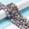 Natural Plum Blossom Tourmaline Beads Strands G-I355-01B-03-2