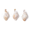 30Pcs 10 Styles Acrylic Pendants PALLOY-JF03989-01-2