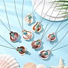8Pcs 8 Styles Natural Scallop Shell & Dyed Synthetic Turquoise Starfish Pendant Necklaces NJEW-JN05225-1