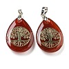 Natural Carnelian(Dyed & Heated) Teardrop Pendants G-Q175-01B-1