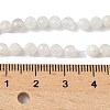 Natural Rainbow Moonstone Beads Strands G-C201-B06-4mm-5
