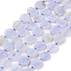 Natural Blue Lace Agate Beads Strands G-NH0001-E01-01-2