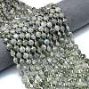 Natural Labradorite Beads Strands G-C116-A65-02-1