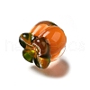 Imitation Fruits Style Acrylic Beads OACR-R006-01G-20-2
