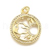 Rack Plating Brass Micro Pave Cubic Zirconia Pendants KK-K401-48A-G-1