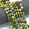 Natural Serpentine Beads Strands G-C116-A14-02-1