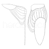 Alloy Body Chain FIND-WH20002-10B-1
