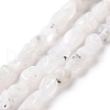 Natural Rainbow Moonstone Beads Strands G-A208-12-3