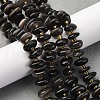 Natural Obsidian Beads Strands G-RM250109-A5-1