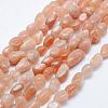 Natural Sunstone Beads Strands G-K203-11A-1