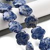 Natural Blue Spot Jasper Beads Strands G-F769-D01-02-2