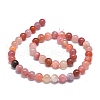 Natural Red Botswana Agate Beads Strands G-O201A-03B-2