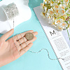 SUNNYCLUE 1 Roll Brass Paperclip Chains CHC-SC0001-06S-3