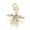Brass Micro Pave Cubic Zirconia Charms ZIRC-I032-54G-1