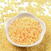 Glass Seed Beads X1-SEED-M011-02A-21-2