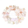 Natural Freshwater Shell Beads Strands SSHEL-N040-18-2