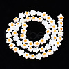Natural Freshwater Shell Beads Strands SHEL-N003-31A-01-2