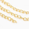 Iron Twisted Chains CH-0.7DK-G-1
