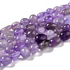 Natural Amethyst Beads Strands G-G018-01-1