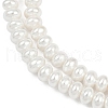 Electroplated Shell Pearl Beads Strands BSHE-Z009-11-4