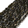 Natural Silver Sheen Obsidian Beads Strands G-P575-C04-6mm-2