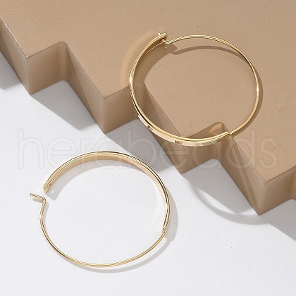 304 Stainless Steel Ring Hoop Earrings for Women EJEW-Q781-04G-1
