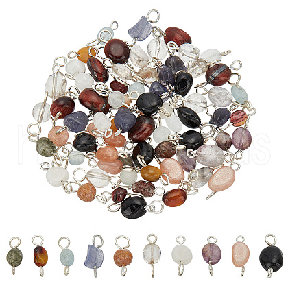 80Pcs 10 Styles Natural Mixed Gemstone Connector Charms PALLOY-HY00002-1