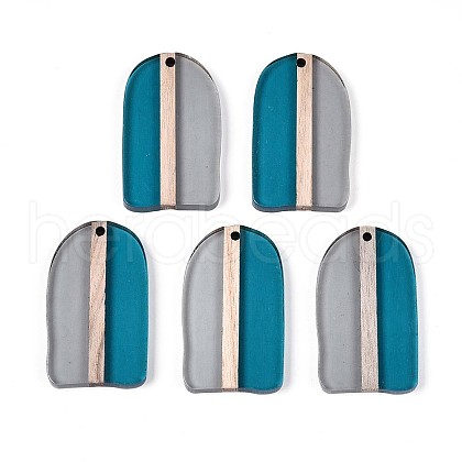 Transparent Resin & Wood Pendants RESI-T057-53A-1