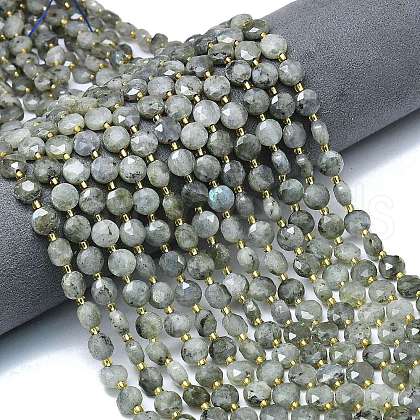 Natural Labradorite Beads Strands G-C116-A65-02-1