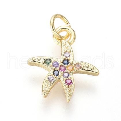 Brass Micro Pave Cubic Zirconia Charms ZIRC-I032-54G-1