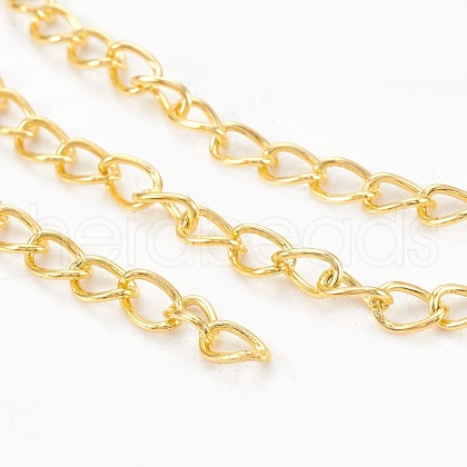 Iron Twisted Chains CH-0.7DK-G-1