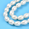 Natural Cultured Freshwater Pearl Beads Strands PEAR-N012-05Z-4