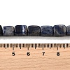 Natural Sodalite Beads Strands G-F791-C04-5