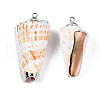 Electroplate Natural Spiral Shell Pendants SSHEL-S266-031-2