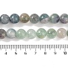 Natural Fluorite Beads Strands G-P530-B04-04-5