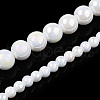 Electroplate Opaque Glass Beads Strands GLAA-T032-P10mm-AB02-4