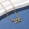 304 Stainless Steel Chemical Symbol Pendant Necklaces NJEW-Z073-03G-04-2