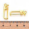 Alloy Pendants X1-PALLOY-N176-123G-3