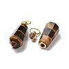 Natural Tiger Eye Openable Perfume Bottle Pointed Pendants G-A026-03-3