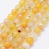 Faceted Natural Agate Beads Strands G-F561-6mm-D06-1