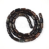 Natural Biotite Beads Strands G-N346-01A-02-3