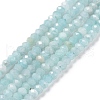 Natural Amazonite Beads Strands G-E194-02B-1