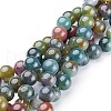 Natural Indian Agate Beads Strands GSR10mmC002-1