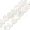 Natural Trochid Shell/Trochus Shell Beads Strands SSHEL-K012-04A-2